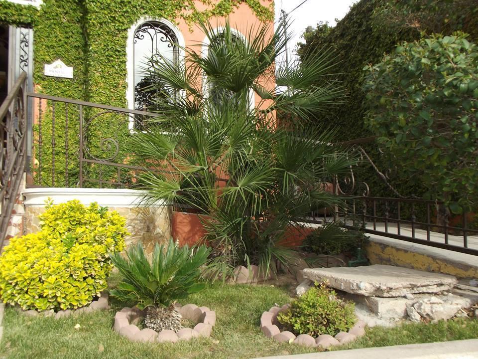Maria Bonita Suites Agua Prieta Eksteriør billede