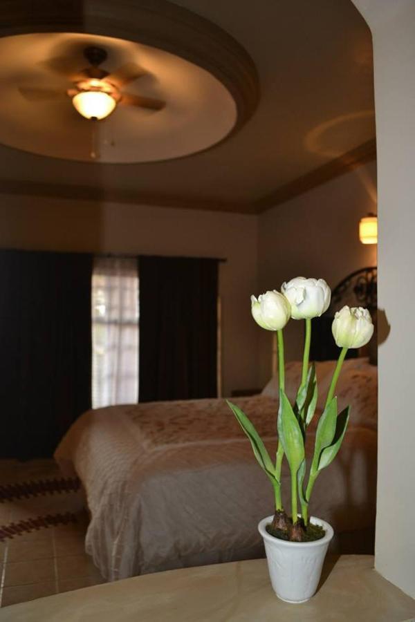 Maria Bonita Suites Agua Prieta Eksteriør billede